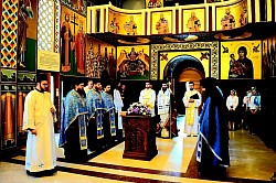 Многи су за манастир Ђунис код Kрушевца сазнали захваљујући српској списатељици Љиљани Хабјановић – Ђуровић и њеној, сада већ чувеној књизи ” Вода из камена ” у којој је, уз проверене историјске чињенице, како је навела, али и са пуно љубави и пажње описала несвакидашњи догађај који се збио у животу девојчице Милојке Јоцић, из села Ђуниса код Kрушевца
